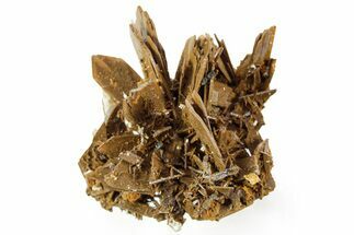 Sharp Bladed Blue Barite Cluster with Limonite - Morocco #365645