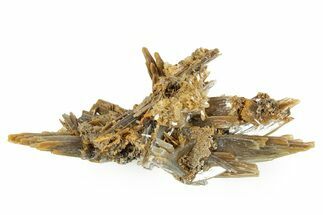 Sharp Bladed Blue Barite Cluster with Limonite - Morocco #365658