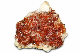 Glittering Ruby Red Vanadinite Crystals on Barite - Morocco #365769