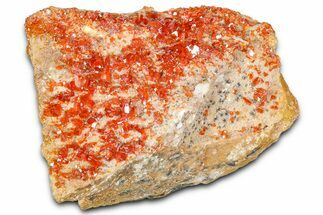 Glittering Ruby Red Vanadinite Crystals on Barite - Morocco #365786