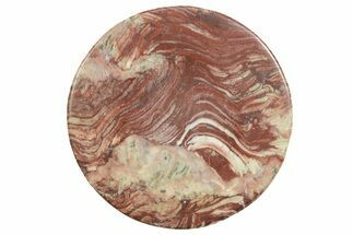 Polished Neoproterozoic Stromatolite (Conophyton) - Morocco #365850