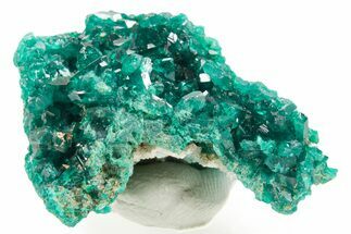 Emerald-Green Dioptase Crystal Cluster - Congo #366005