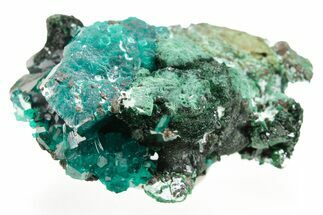 Emerald-Green Dioptase Crystal Cluster - Congo #366012