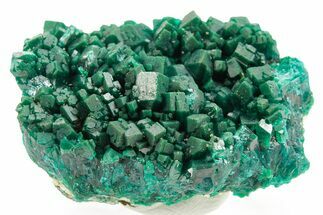 Dioptase Crystal Cluster on Blue Plancheite - Congo #366016