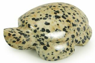 Carved Dalmatian Stone Turtle - Mexico #366269