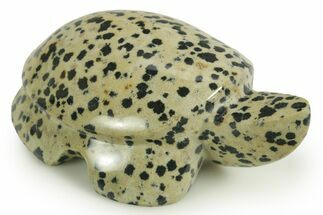 Carved Dalmatian Stone Turtle - Mexico #366270