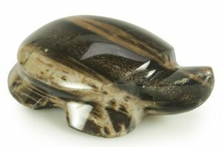 Polished Petrified Wood (Sycamore) Turtle - Nevada #366292