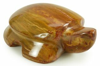 Polished Petrified Wood Turtle - Australia #366296