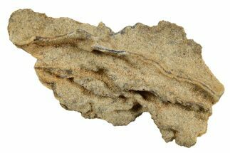 Fulgurite - Petrified Lightning #366352