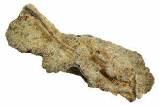 Fulgurite - Petrified Lightning #366370