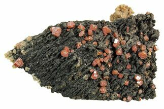 Small Red Vanadinite Crystals on Goethite - Morocco #366229