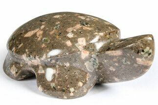 Polished Chinese Writing Rock Turtle - Arizona #366540