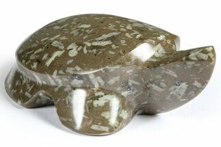 Polished Chinese Writing Rock Turtle - Arizona #366541