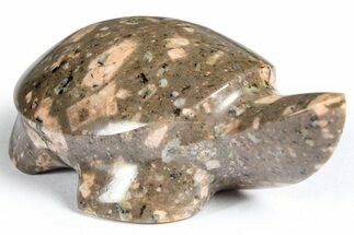 Polished Chinese Writing Rock Turtle - Arizona #366548