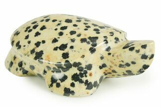 Carved Dalmatian Stone Turtle - Mexico #366183