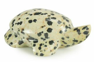 Carved Dalmatian Stone Turtle - Mexico #366189