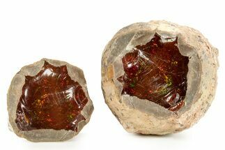 Huge, Ethiopian Chocolate Opal Nodule - Yita Ridge #367223