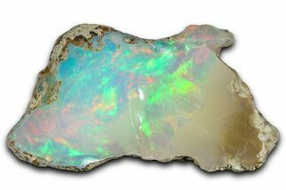 Brilliant Precious Ethiopian Fire Opal ( grams) #367297