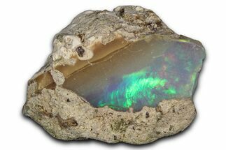 Brilliant Precious Ethiopian Fire Opal ( grams) #367308