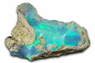 Brilliant Precious Ethiopian Fire Opal ( grams) #367350