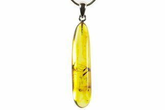 Polished Baltic Amber Pendant (Necklace) - Contains Partial Fly! #367356