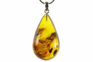 Polished Baltic Amber Pendant (Necklace) - Contains Fly! #367361