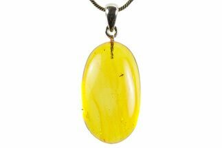 Polished Baltic Amber Pendant (Necklace) - Contains Fly! #367377