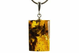 Polished Baltic Amber Pendant (Necklace) - Contains Caddisfly! #367379