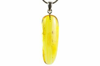 Polished Baltic Amber Pendant (Necklace) - Contains Fly! #367380