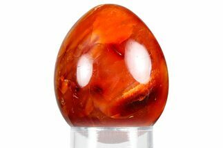 Vibrant Polished Carnelian Agate Egg - Madagascar #355516