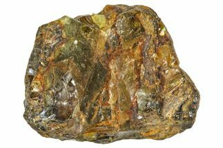 Pallasite Meteorite ( g) - NWA #367750