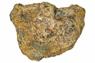 Pallasite Meteorite ( g) - NWA #367765