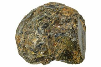 Pallasite Meteorite ( g) - NWA #367770