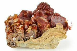 Deep Red Vanadinite Crystal Cluster - Huge Crystals! #368118