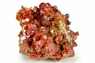Gleaming Ruby Red Vanadinite Crystal Cluster - Large Crystals #368121