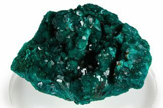 Emerald-Green Dioptase Crystal Cluster - Congo #368196