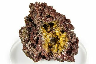Sparkling Yellow Mimetite Crystals on Matrix - Congo #368211