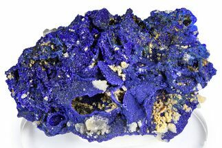 Cerussite Crystals on Sparkling Azurite - Congo #368227