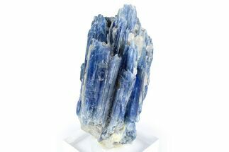 Vibrant Blue Kyanite Crystals In Quartz - Brazil #368775