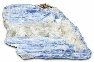Vibrant Blue Kyanite Crystals and Staurolite In Quartz - Brazil #368793