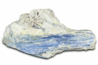 Vibrant Blue Kyanite Crystals In Quartz - Brazil #368796