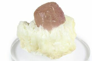 Purple Stepped-Octahedral Fluorite on Quartz - Lupita Mine #368293