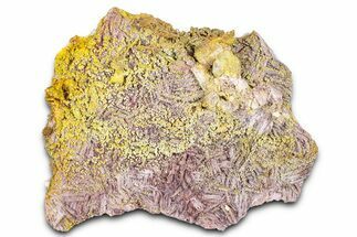 Yellow-Orange Vanadinite & Wulfenite Crystal Cluster - Arizona #368919