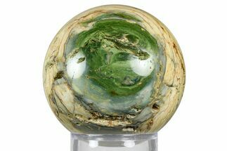 Gary Green Jasper (Larsonite) Bog Wood Sphere - Oregon #369041