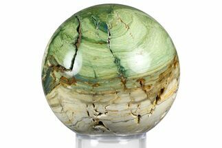 Gary Green Jasper (Larsonite) Bog Wood Sphere - Oregon #369046