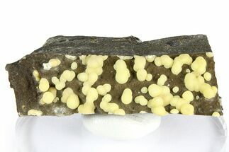 Globular Yellow Calcite Formations on Basalt - Italy #368884