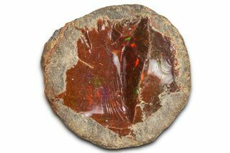 Ethiopian Chocolate Opal Nodule - Yita Ridge #369091