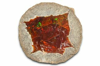 Ethiopian Chocolate Opal Nodule - Yita Ridge #369094