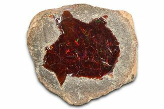 Ethiopian Chocolate Opal Nodule - Yita Ridge #369095