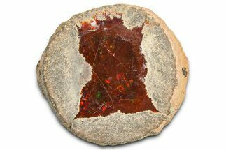 Ethiopian Chocolate Opal Nodule - Yita Ridge #369103